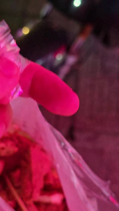 郭台铭公开表态科技企业需自主发展